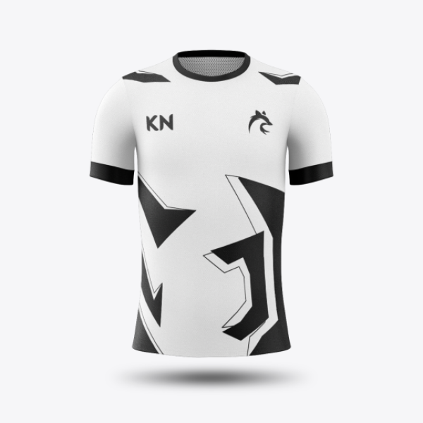 LOGO RENARD & AIGLE